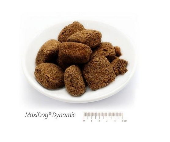 REICO Trockenfutter Maxidog Dynamic